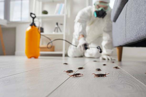 Commercial Kitchen Cockroach Control in Yerington
